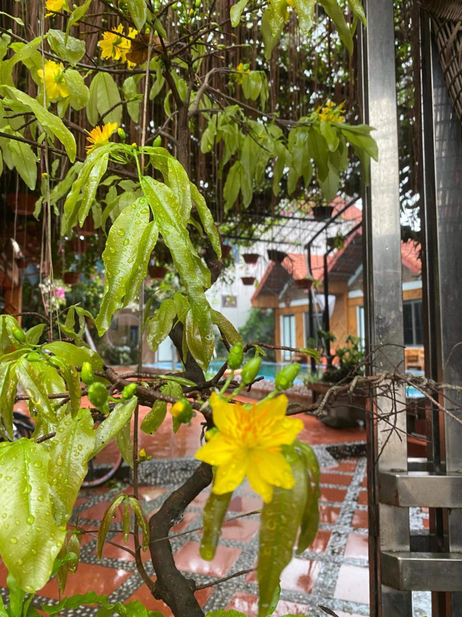 Tam Coc Charming Bungalow Нин Бин Екстериор снимка